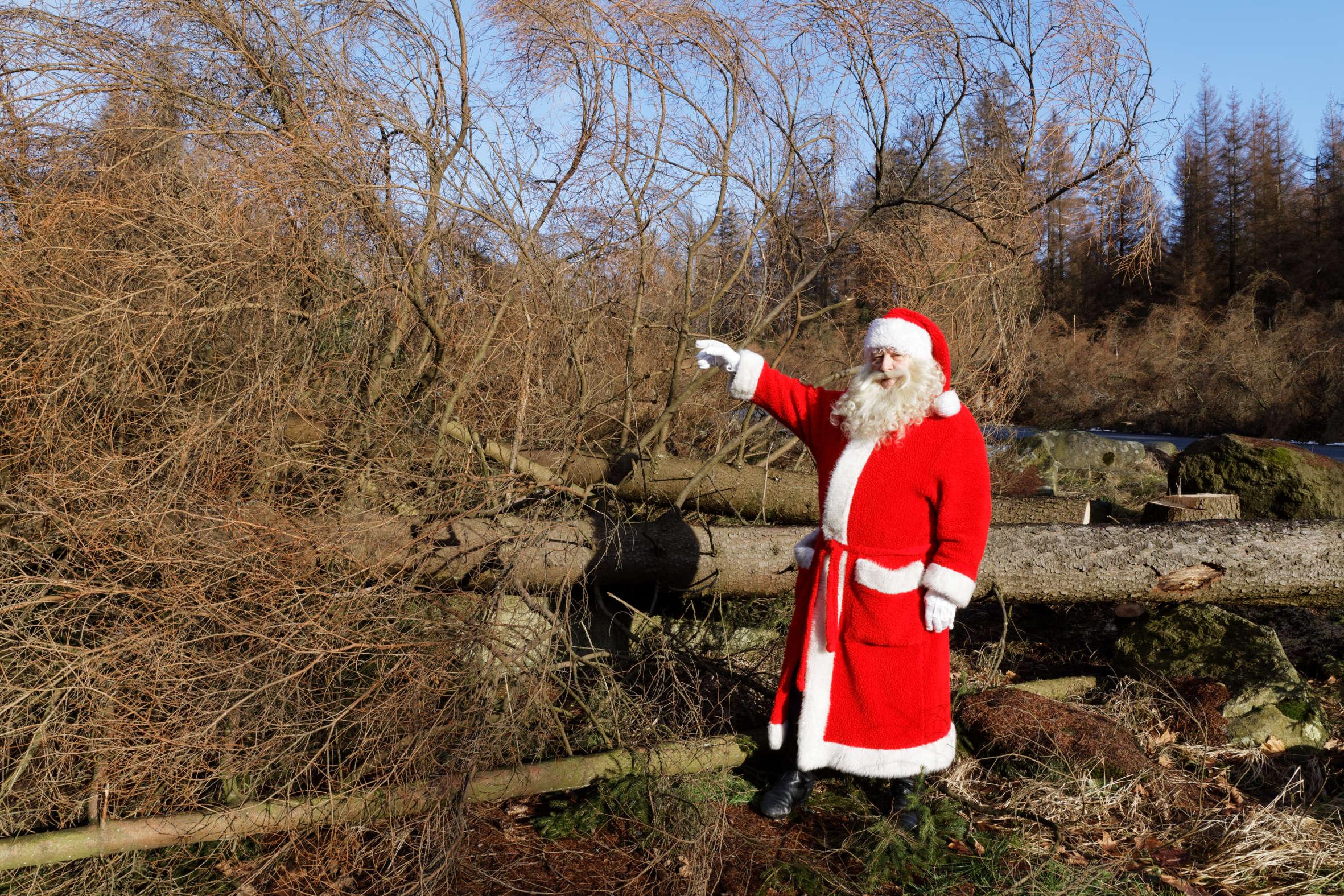 Der Weihnachtsmann im toten, schneelosen Wald