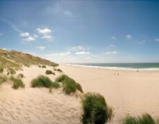 Kampen, Sylt, Schleswig-Holstein, Deutschland, 25.06.2005:
Deutschschlands schoenste Straende - Rotes Kliff in Kampen auf Sylt - 360 Grad Panoramafotografie - Reportage "Deutschlands schoenste Straende".
Strand, Kliff, Sandkliff, Meer, Sandstrand, Traumstrand, Kueste, Duene, Sandduene, Ferien, Urlaub, Sommerurlaub, Sehenswuerdigkeit, Nordsee, Nordseekueste, Landschaft, Panoramafoto, Panoramafotografie, echte, 360 Grad, Roundshot, Seitz, Landschaft, Reportage, ungewoehnlich
© www.photoguerilla.com/hoerseljau
Straende-41 - 01-05