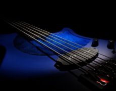 Gerald Marleaux, BassGuitars, Sägemüllerstr. 37, 38678 Clausthal-Zellerfeld, +49 (0)5323 - 81747, fax +49 (0)5323 - 987137, email marleaux@marleaux-bass.com