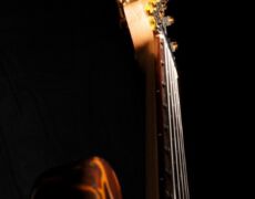 Gerald Marleaux, BassGuitars, Sägemüllerstr. 37, 38678 Clausthal-Zellerfeld, +49 (0)5323 - 81747, fax +49 (0)5323 - 987137, email marleaux@marleaux-bass.com