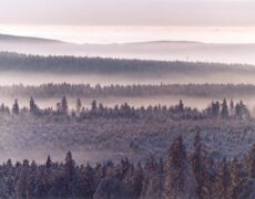 Brocken (1142 m), DEU:
Der Brocken - ein freier Berg. Farbbildband von Hansjoerg Hoerseljau.
Nationalpark, Harz, Brocken, Mittelgebirge, Bildband, Zeitgeschichte
© Hansjoerg Hoerseljau